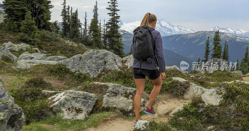 女性trail runner通过高山草甸跟随小路